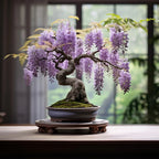 The Queen Of Flowers—Wisteria Flower Seeds