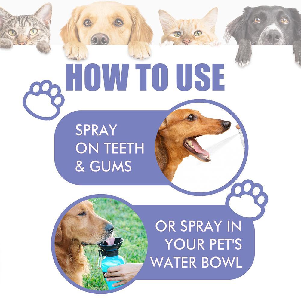 Pet Tooth Cleaning Spray