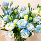 🌺Lisianthus - Sincere Love