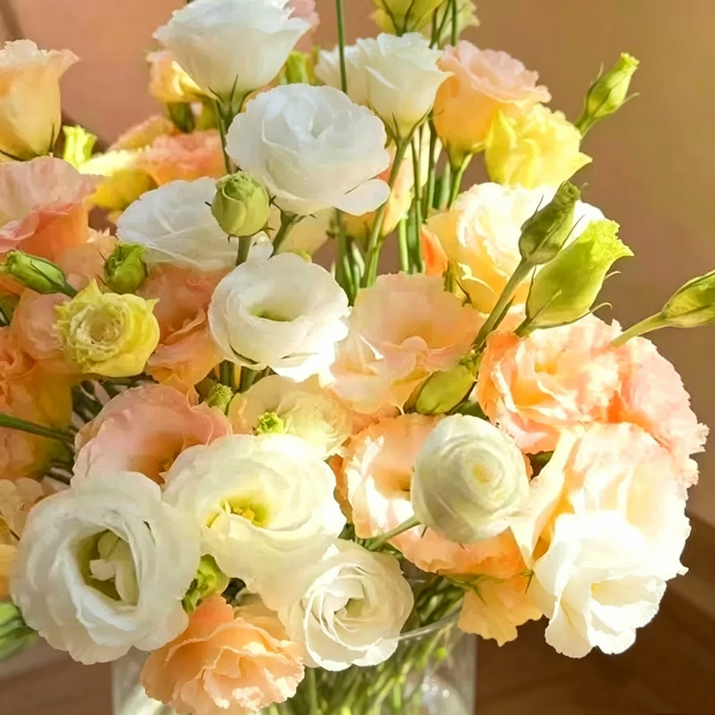 🌺Lisianthus - Sincere Love