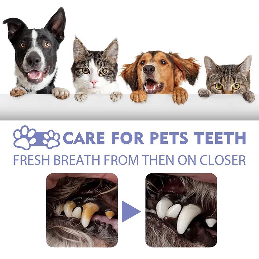 Pet Tooth Cleaning Spray