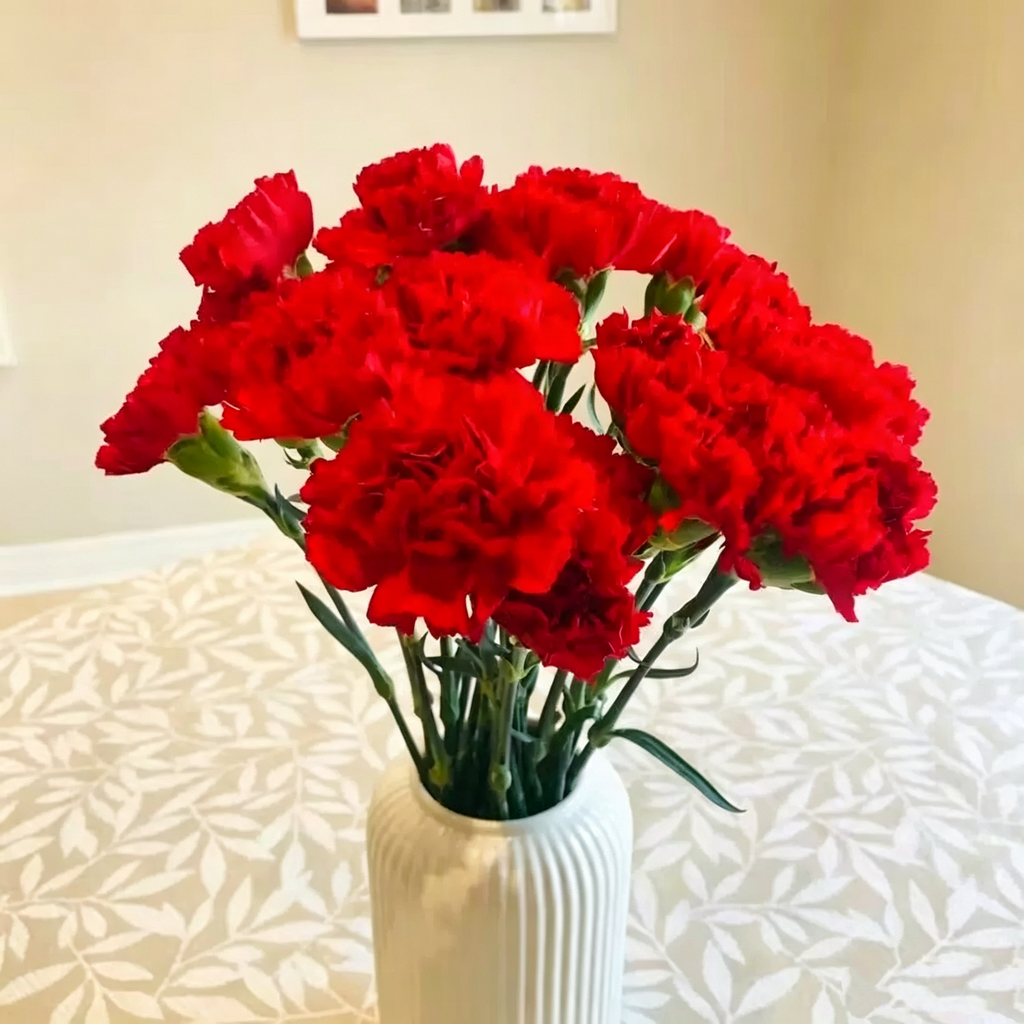Double Carnation Seeds🌺
