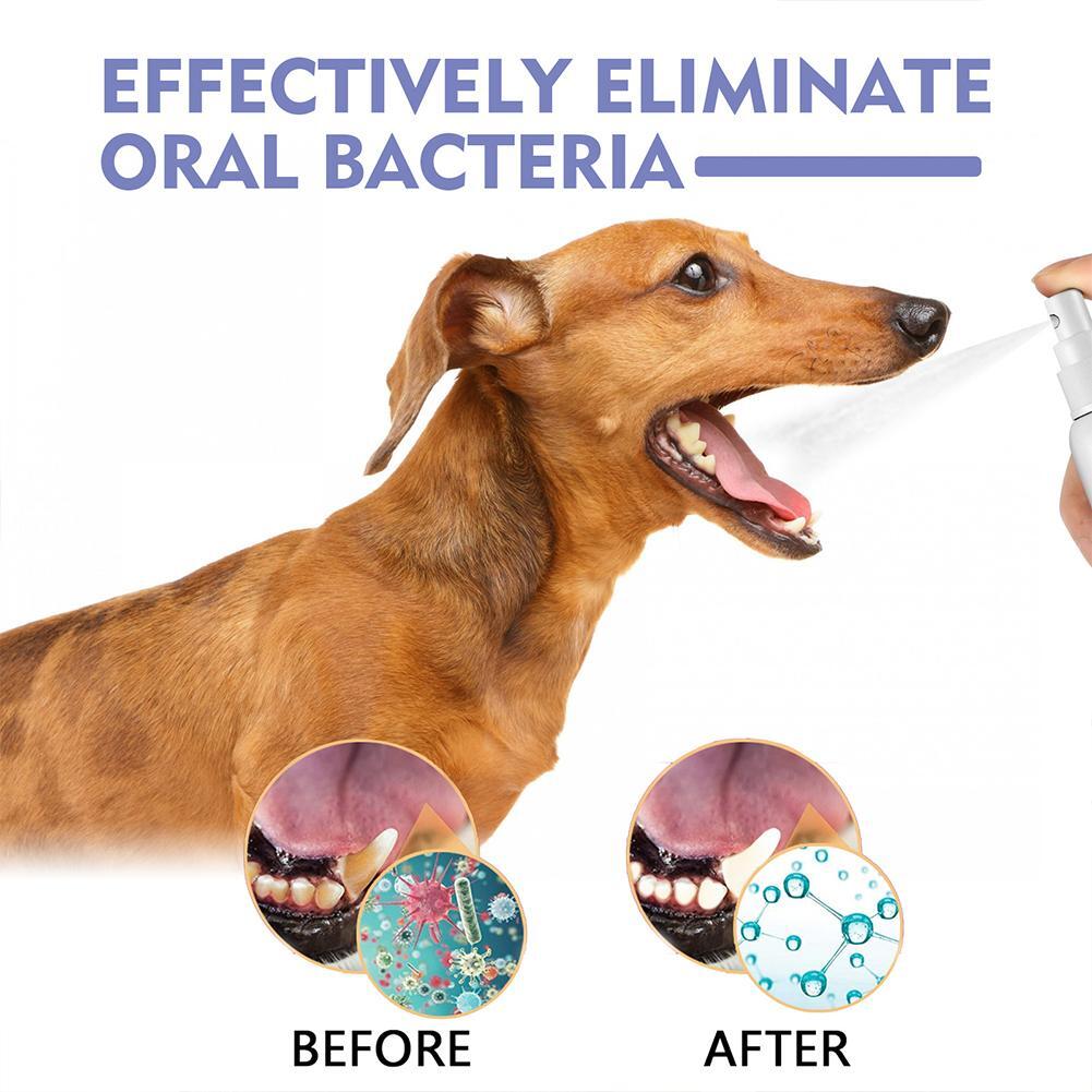 Pet Tooth Cleaning Spray