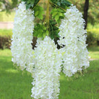 The Queen Of Flowers—Wisteria Flower Seeds