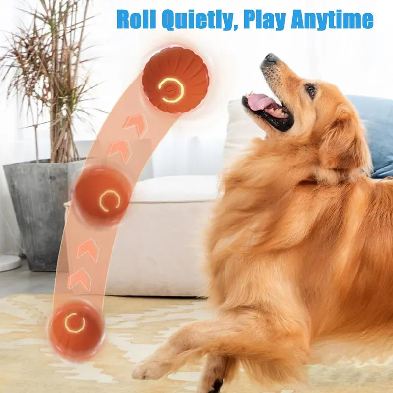 Shaky Ball Toy for Dogs, Interactive Dog Ball
