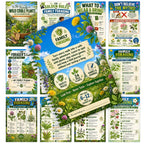 Family Wild Edible Plants Handbook, A5 Spiral Field Guide, 24 Plants