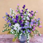 Cup & Saucer Bellflower Seeds – Grow a Real Life Fairy Garden