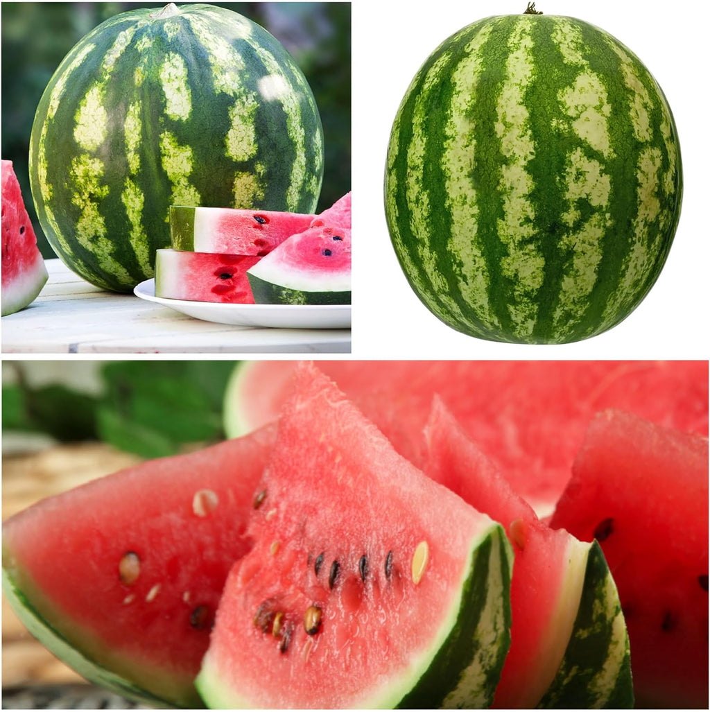 🍉Ruby Watermelon Pot Seeds