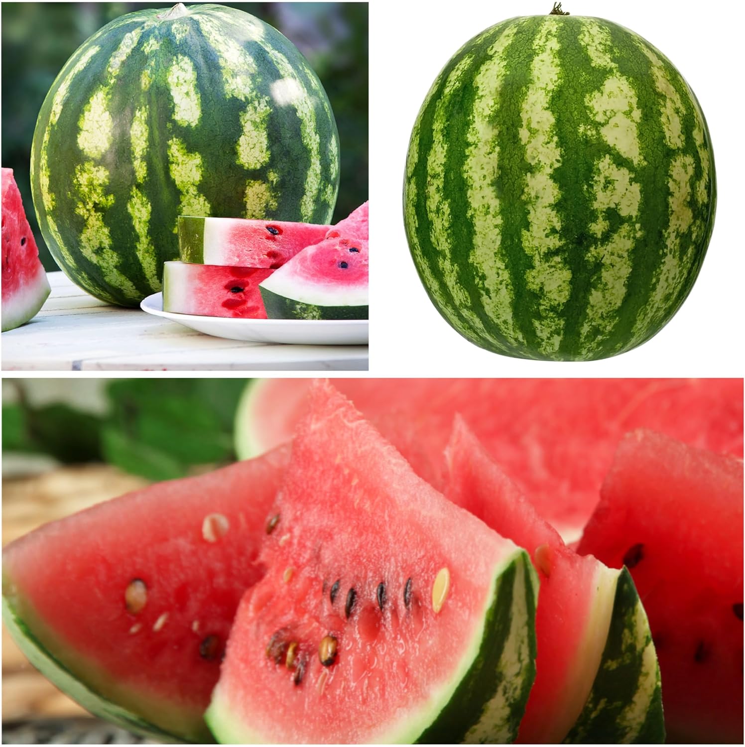 🍉Ruby Watermelon Pot Seeds