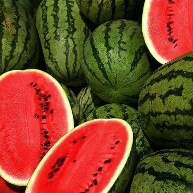 🍉Ruby Watermelon Pot Seeds
