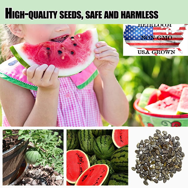 🍉Ruby Watermelon Pot Seeds