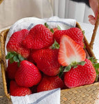 All-Year-Round Strawberry Seeds