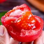 Potted Dwarf Tomato Seeds