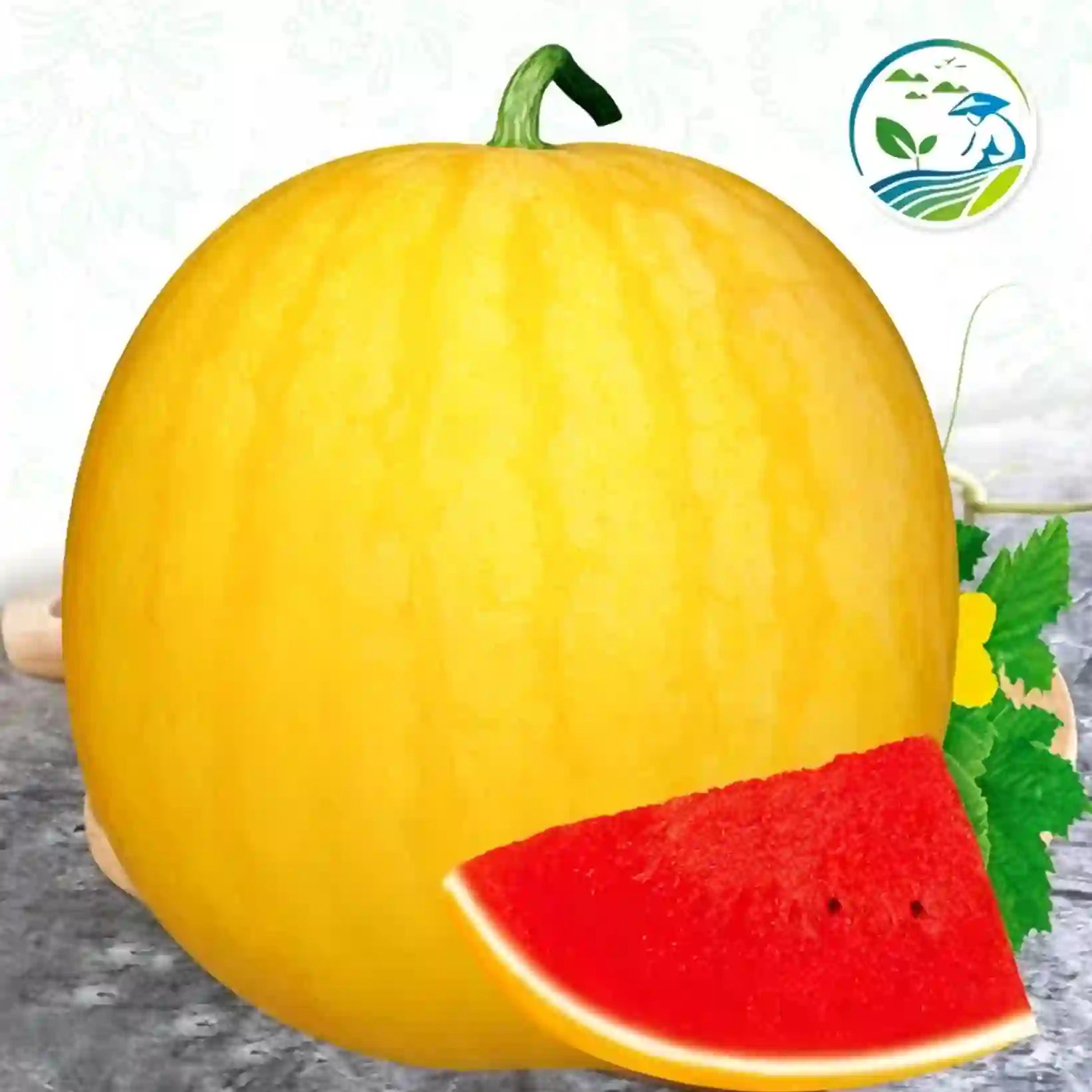 🍉Ruby Watermelon Pot Seeds