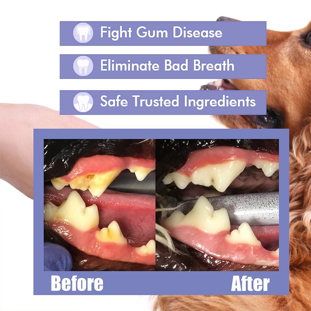 Pet Tooth Cleaning Spray