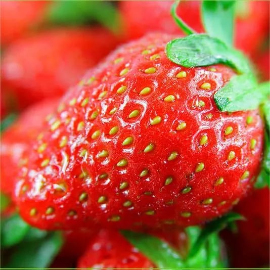 All-Year-Round Strawberry Seeds