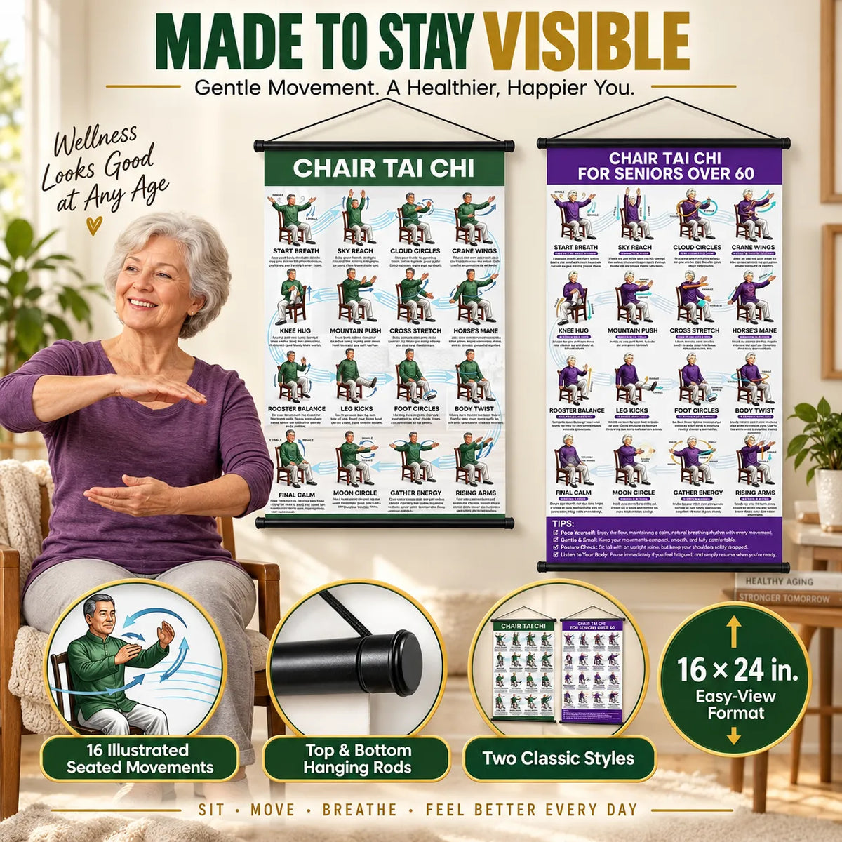 Chair Tai Chi Training Wall Chart —(16 x 24 inches)