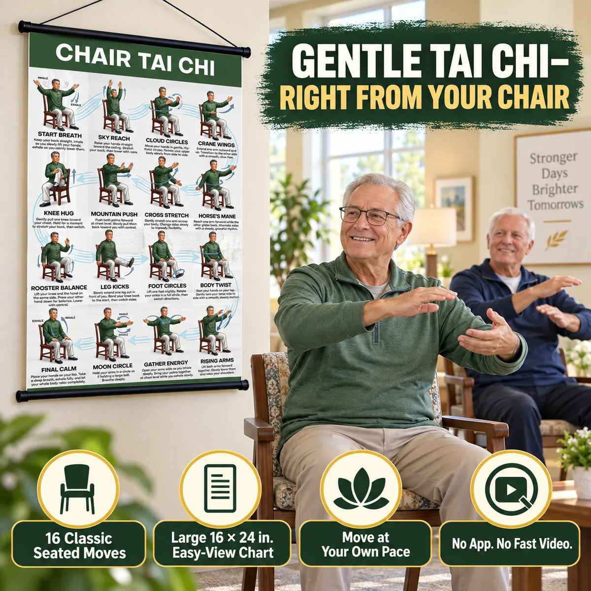 Chair Tai Chi Training Wall Chart —(16 x 24 inches)