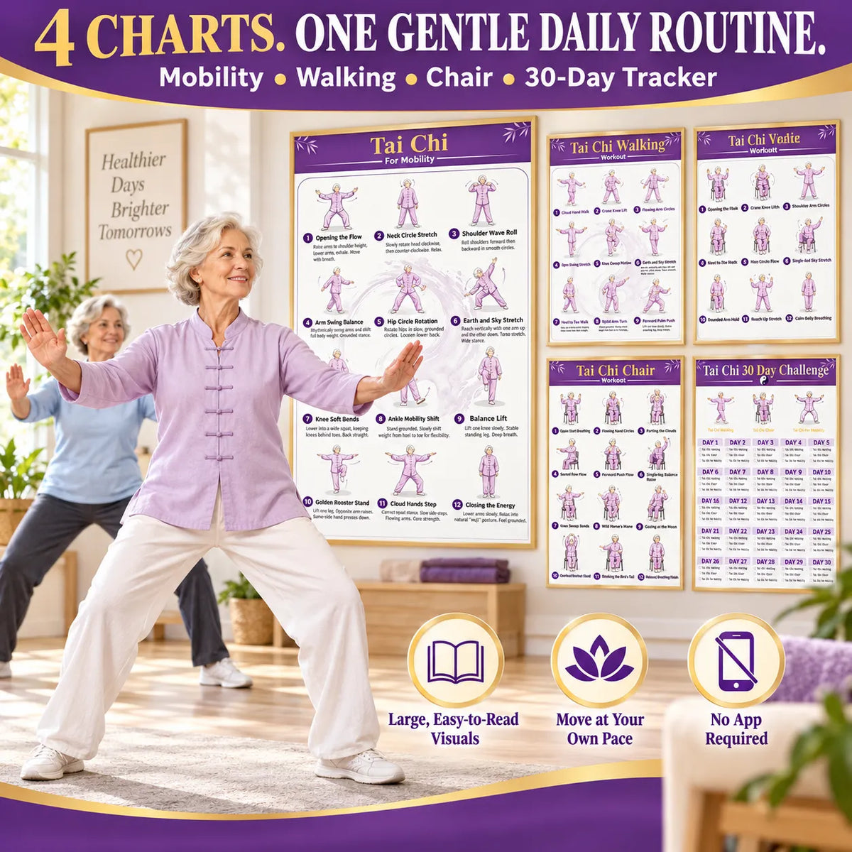 4 Illustrated Tai Chi Exercise Poster Set for Seniors —(11.8x8.3 inches)