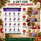 Gentle Tai Chi for Seniors: Seated & Standing Exercises——(16 x 24 inches)