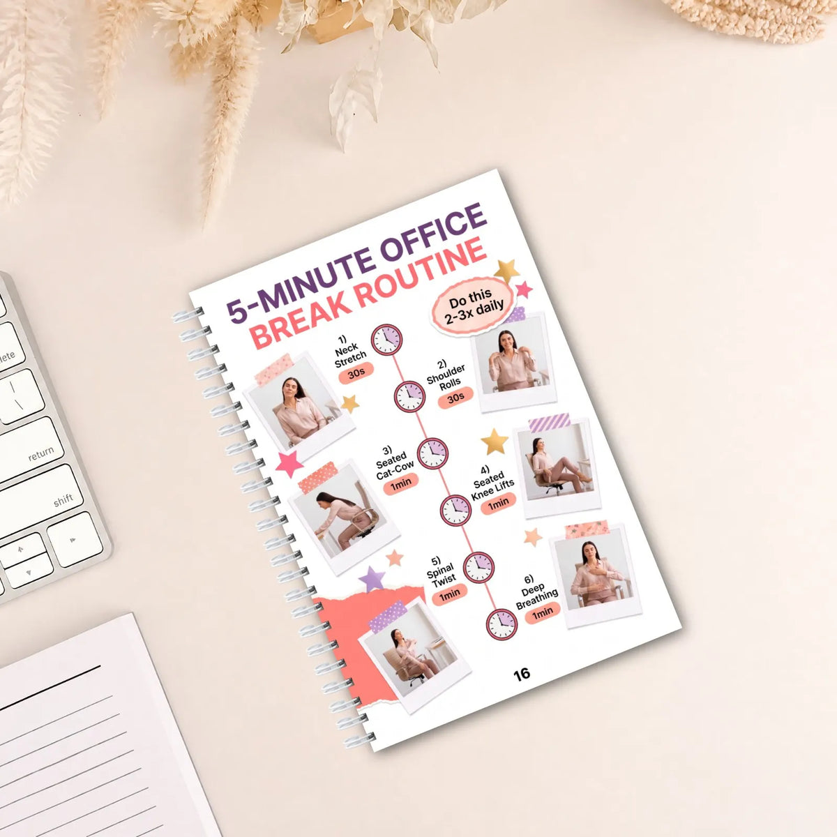 Office Chair Yoga Plan, Step-by-Step Seated Workout Guide