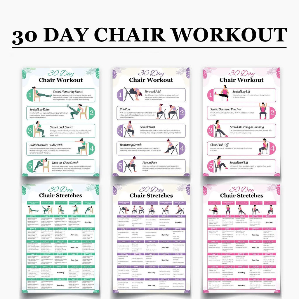 🔥Tai Chi Chair Workout Chart for Seniors (16 x 24 inches)