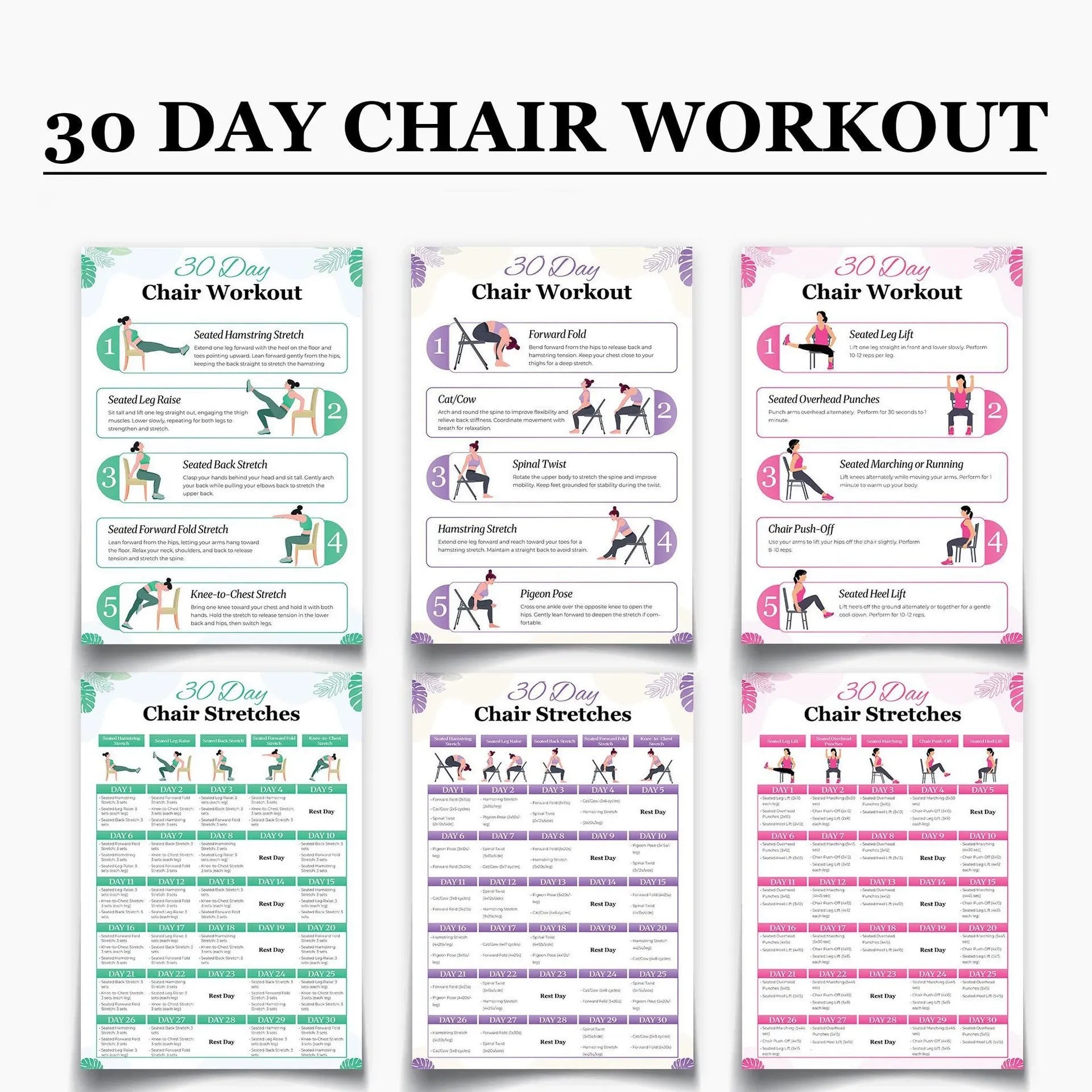 🔥Tai Chi Chair Workout Chart for Seniors (16 x 24 inches)